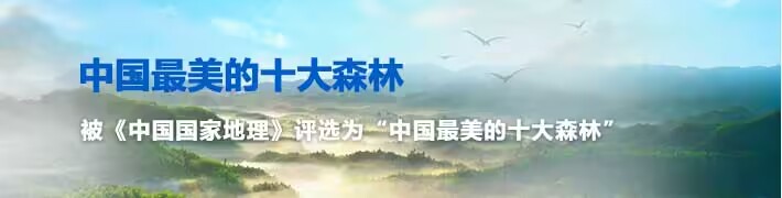 蜀南竹海天下翠